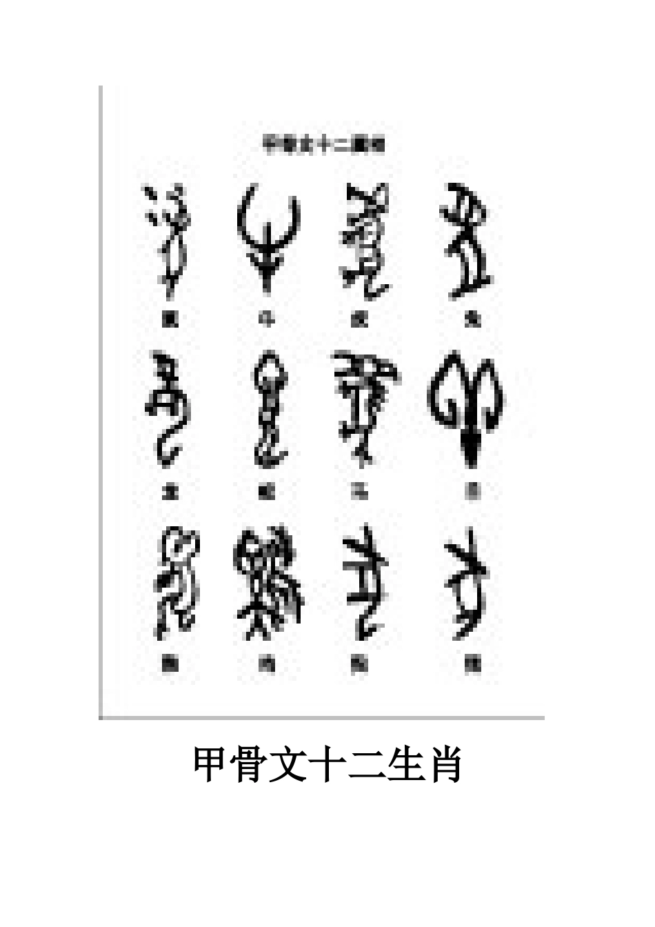 甲骨文十二生肖_第1页