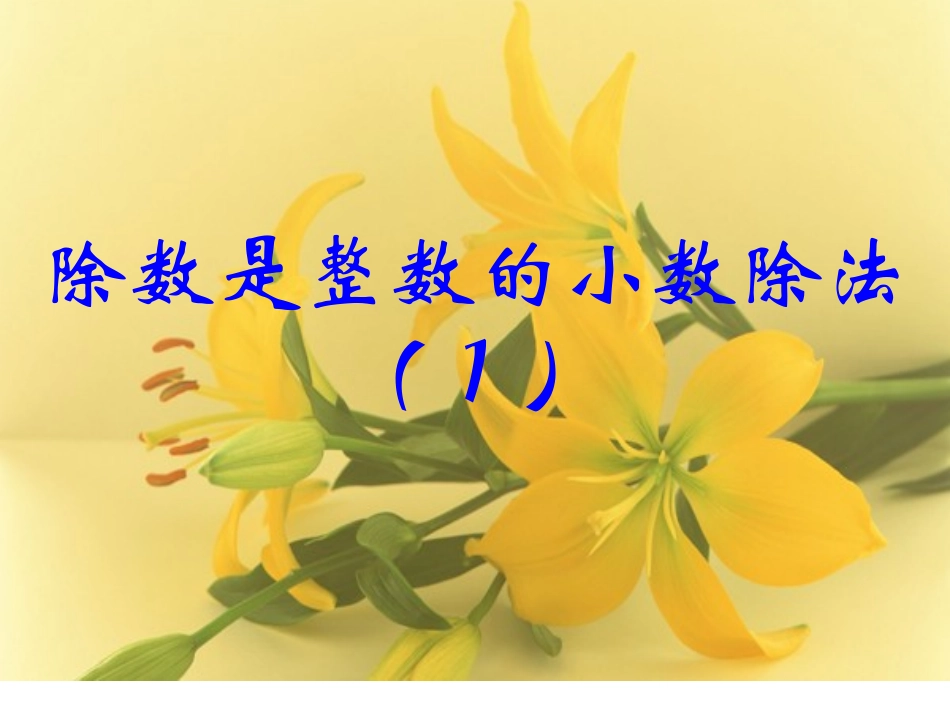 除数是整数的除法_第1页