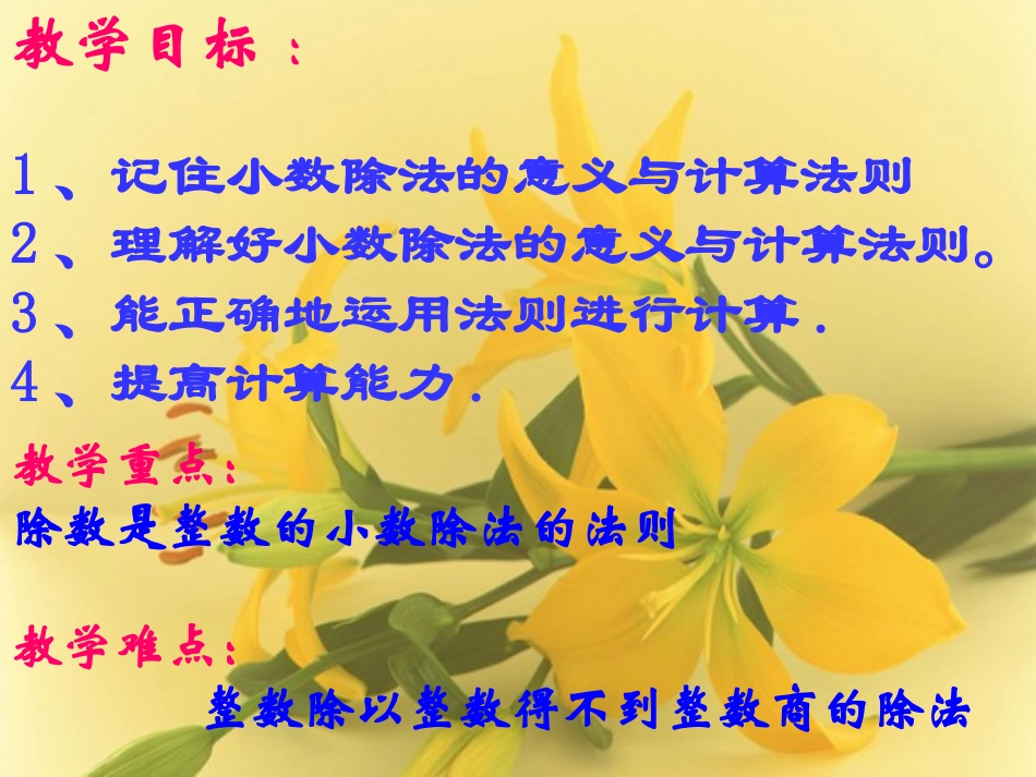 除数是整数的除法_第2页