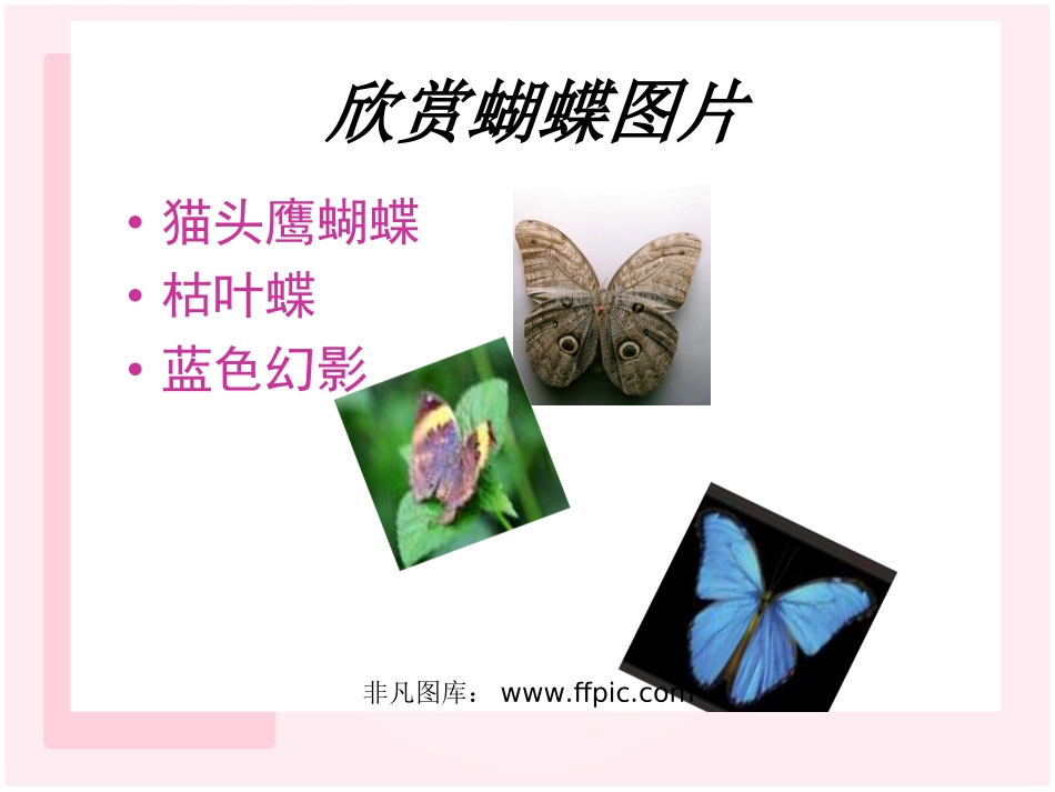 讲课资料《台湾蝴蝶甲天下》课件_第2页