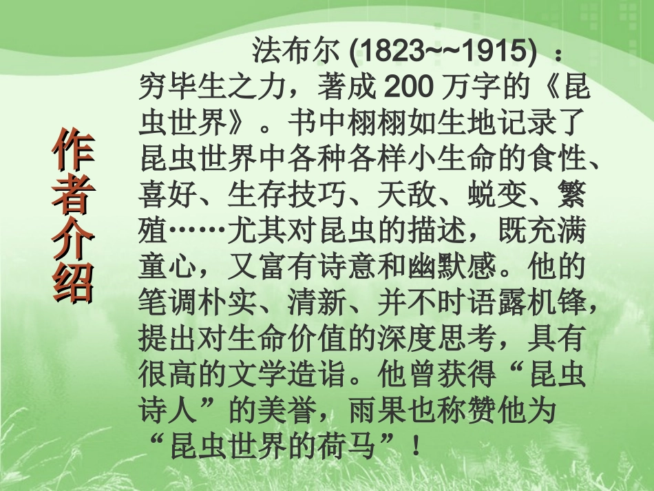 松树金龟子2_第3页