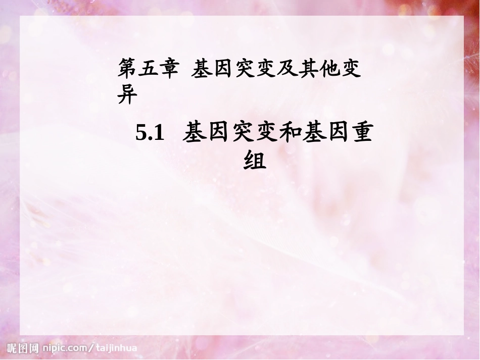 基因突变和基因重组_第1页