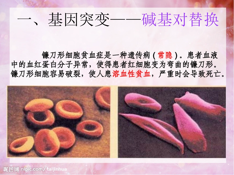 基因突变和基因重组_第2页