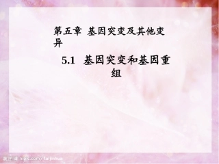 基因突变和基因重组