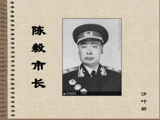 陈毅市长选场