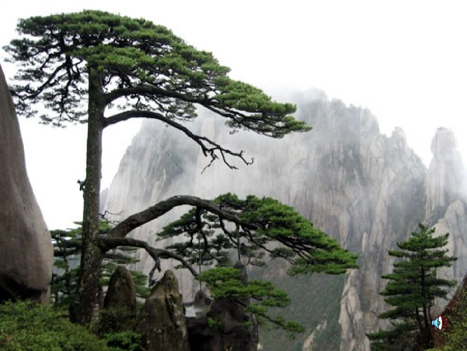 《五花山》课件_第2页