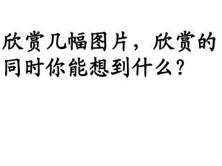 动物体的结构层次