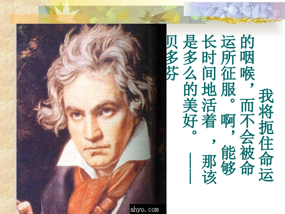 音乐巨人贝多芬1_第2页