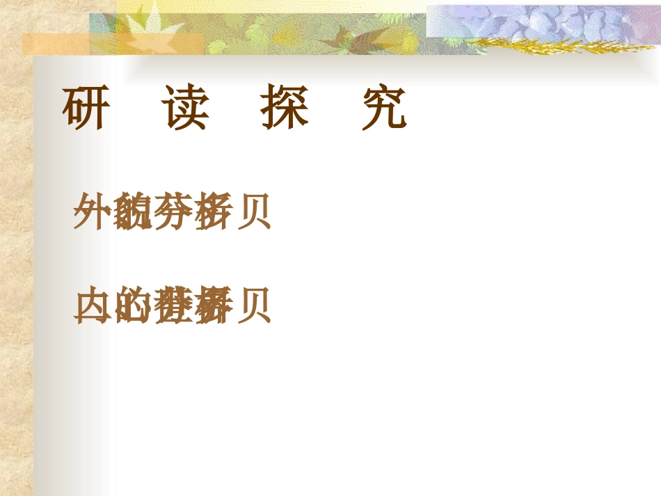 音乐巨人贝多芬1_第3页
