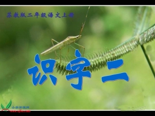 (教科版)二年级语文上册课件_识字2_3