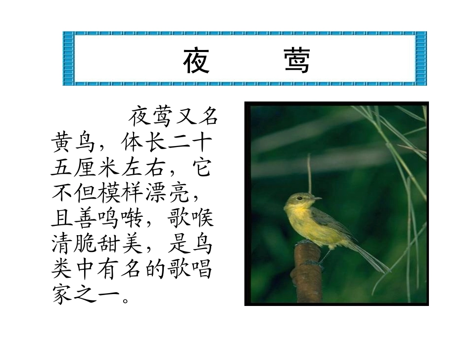 夜莺的歌声3_第2页