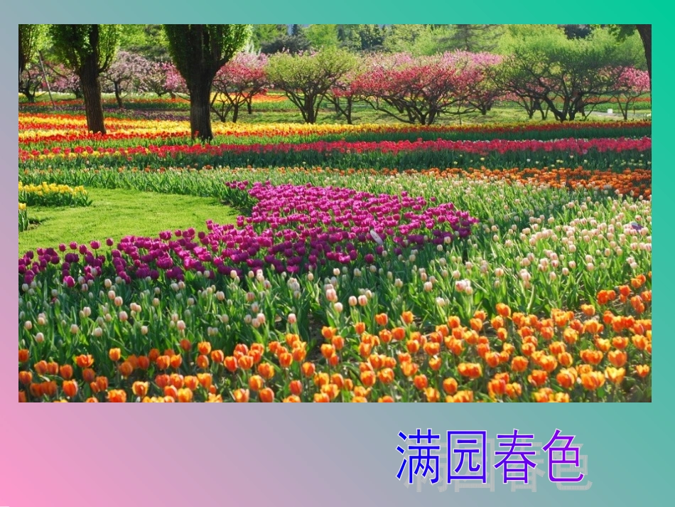 春雨的色彩课件 (2)_第2页