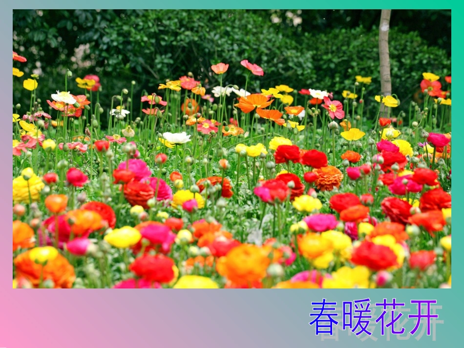 春雨的色彩课件 (2)_第3页