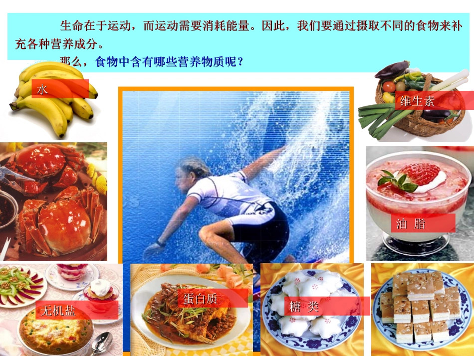 课题1　人类重要的营养物质课件1_第2页