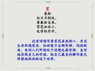 2018中考作文冲刺2：寻常细处 恰有深意