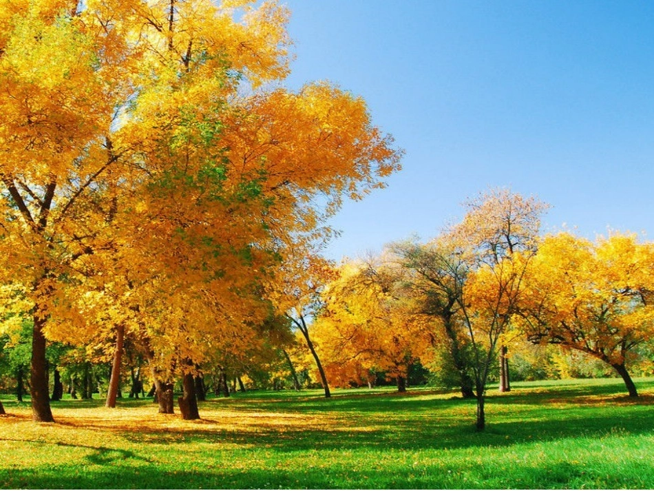 语言：秋天的颜色_第2页