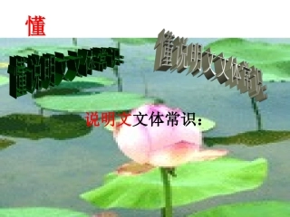 说明文文体知识