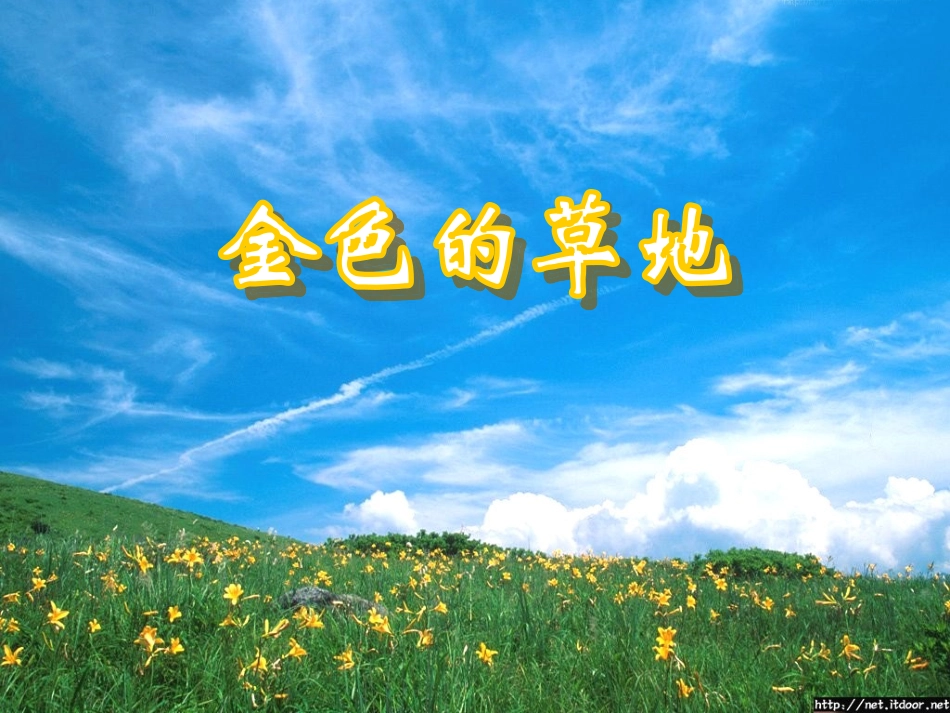 金色的草地课件_第1页