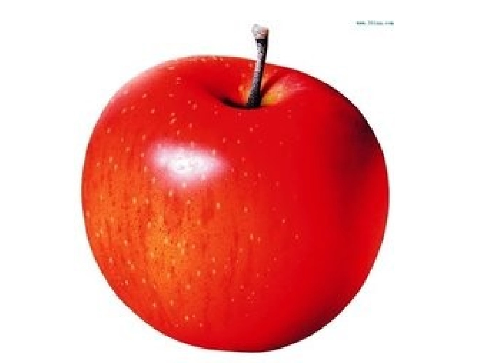 《颜色真奇妙》中班PPT课件_第3页