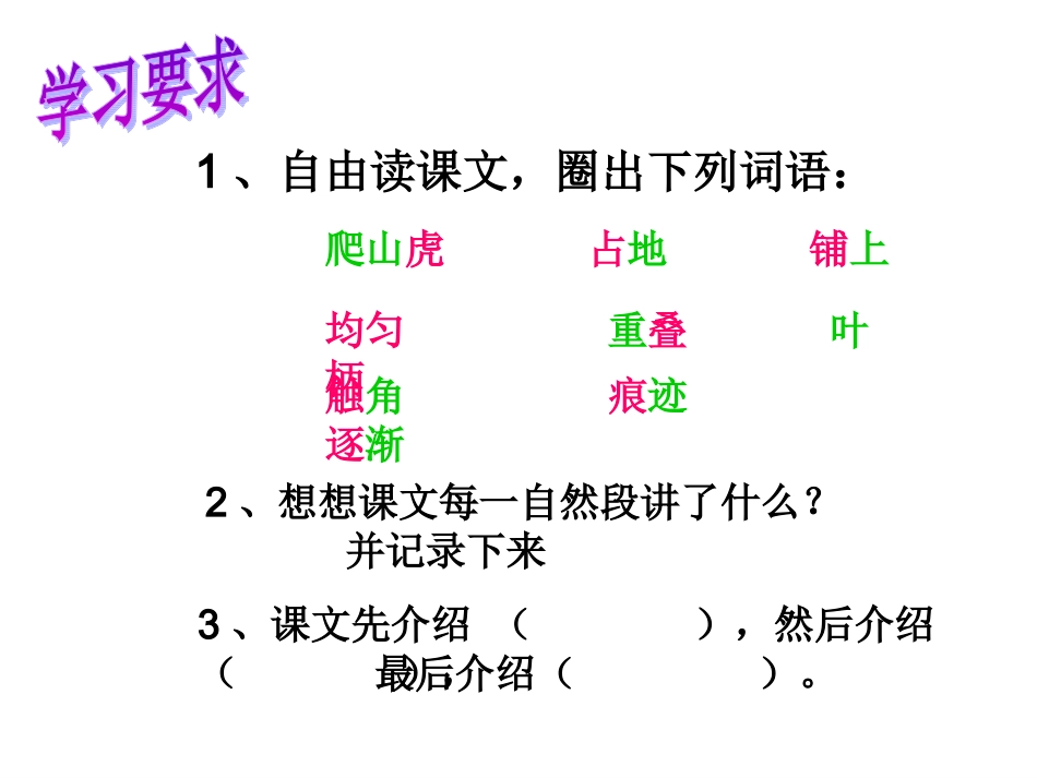 爬山虎课件（修改）_第3页