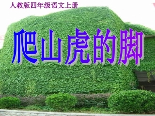 爬山虎课件（修改）