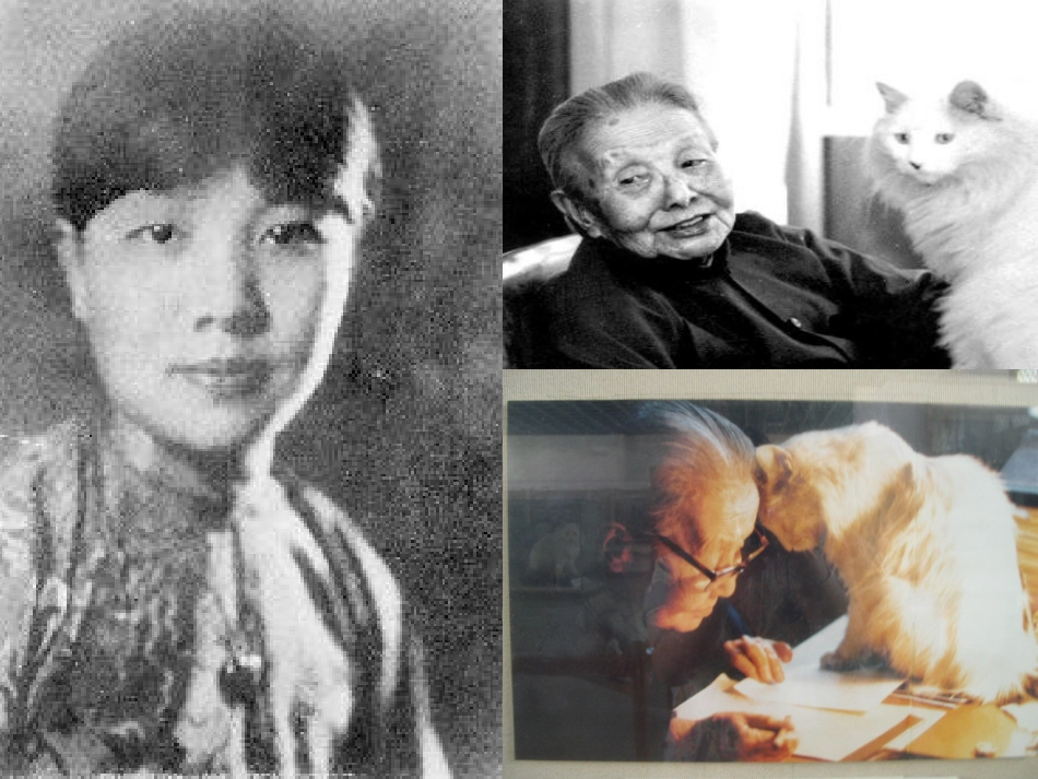 忆读书公开课PPt_第3页