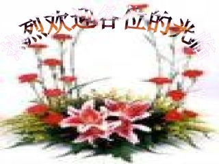 忆读书公开课PPt