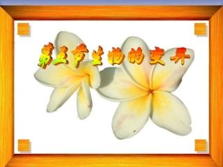 人教新课标版初中八下第七单元2[1]5生物的变异课件4