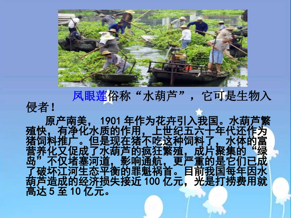 《生物入侵者》课件_第2页