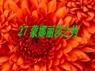 《蒙拉丽莎之约》课件