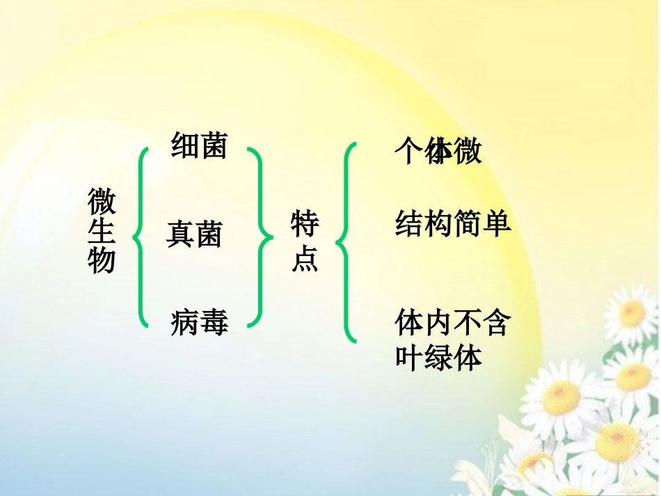 神奇的微生物_第2页