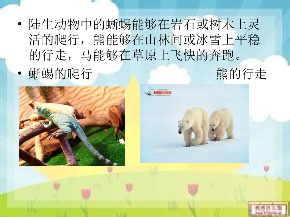 动物的运动形式_第3页