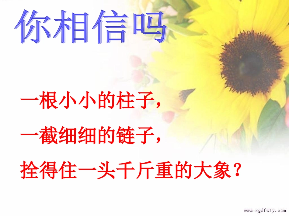 好习惯成就好人生_第2页