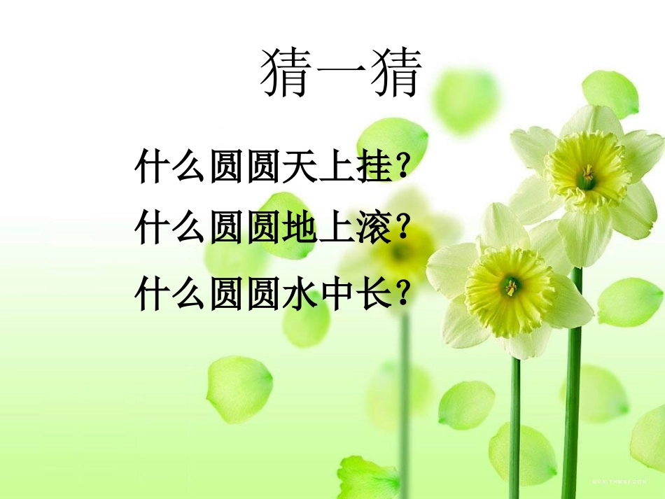《荷叶圆圆》_第2页