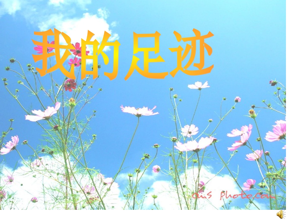 数学教师成长的足迹_数学教师专业成长记录_第1页