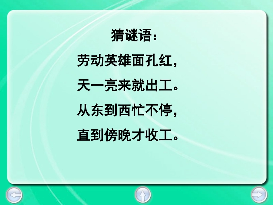 太阳的话课件_第3页