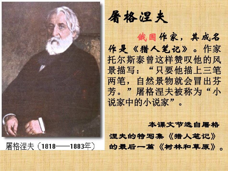 树林和草原随堂课_第2页