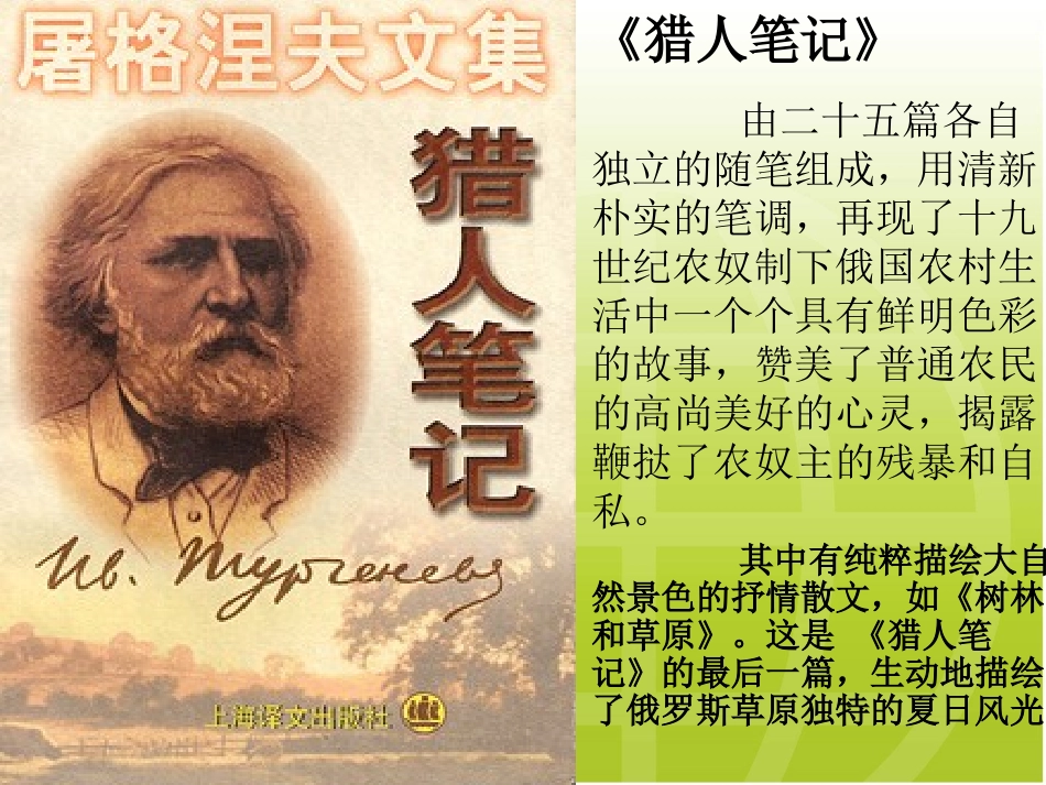 树林和草原随堂课_第3页