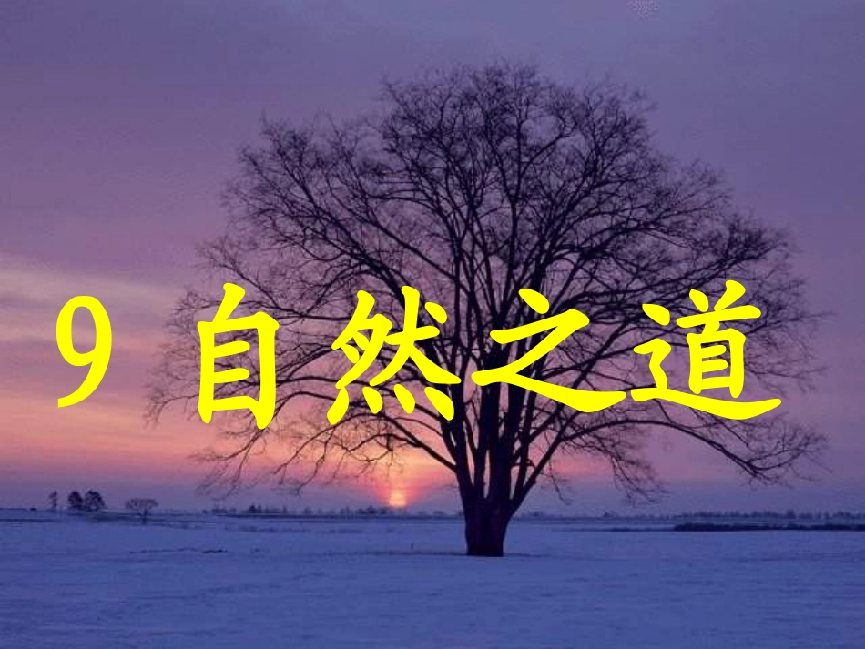 自然之道课件_第3页