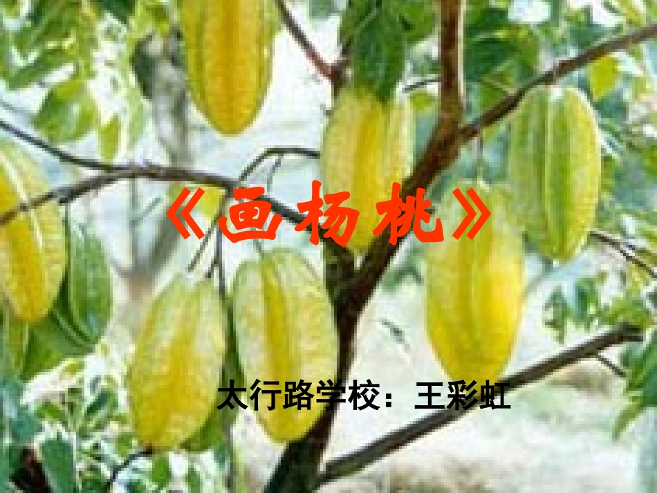 画杨桃PPT_第1页