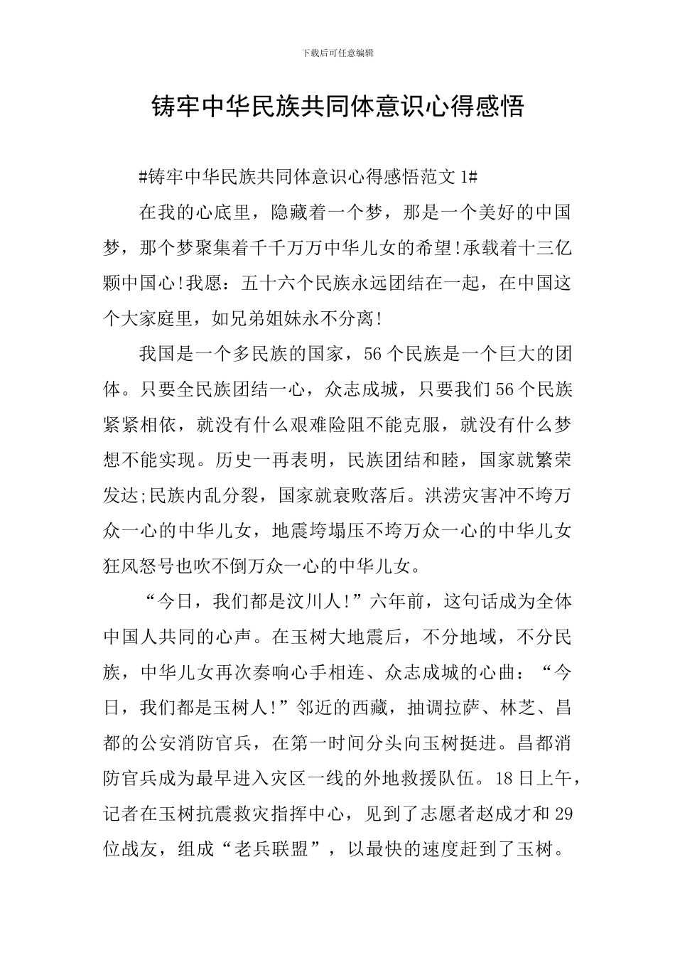 铸牢中华民族共同体意识心得感悟_第1页