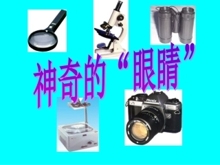 物理：46《神奇的眼睛》课件（教科版八年级上）