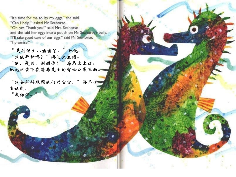 绘本海马先生_第3页