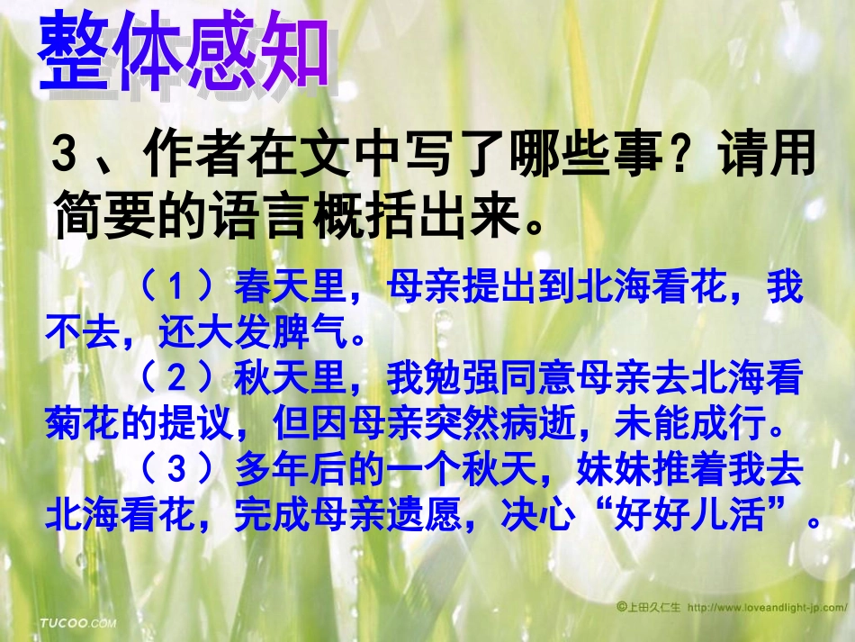 《秋天的怀念》_第3页