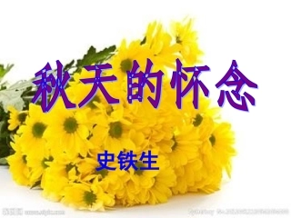 《秋天的怀念》