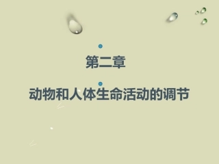 动物和人体生命活动的调节