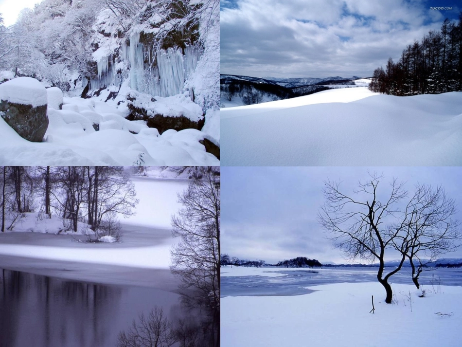 湖心亭看雪课件(市优质课)_第3页
