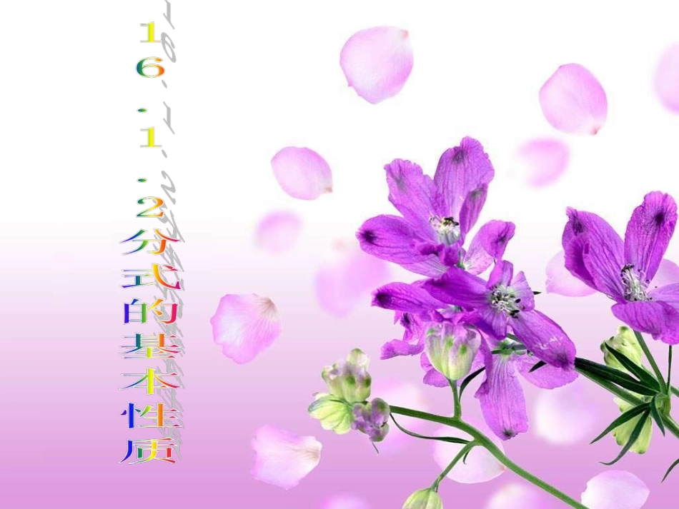 分式的基本性质 (2)_第1页