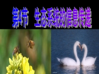 人教版必修三第5章第4节生态系统的信息传递（共46张PPT）