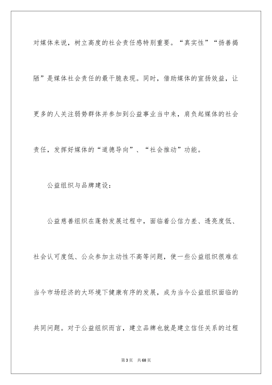 2024大型活动策划_9_第3页